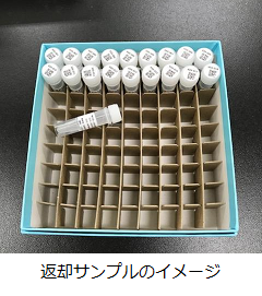 九州プロサーチllp
