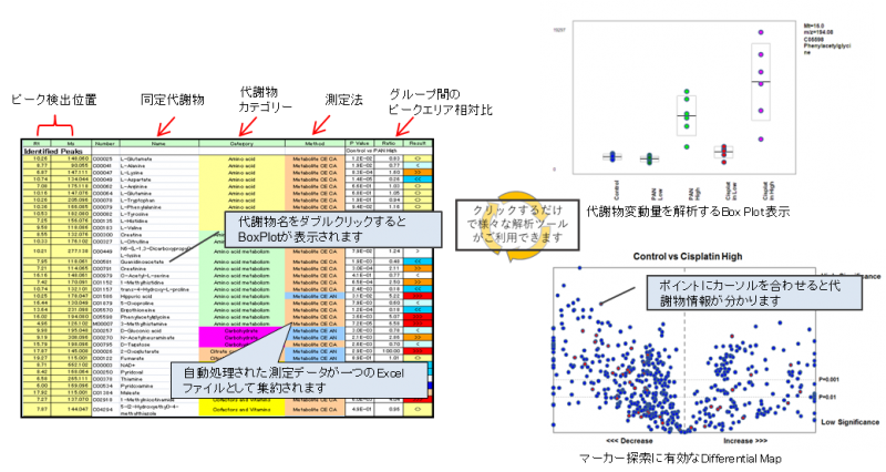 Kpsl リピドミクス 受託解析